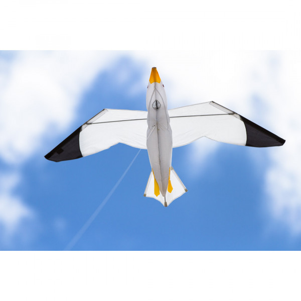 HQ Seagull 3D Einleiner Drachen