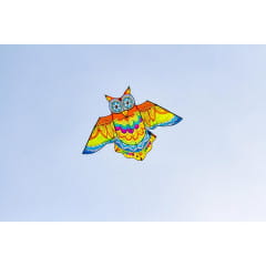 HQ Jazzy Owl Kite Kinderdrachen