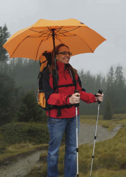 EuroSchirm teleScope handsfree