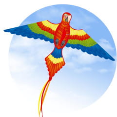 Ecoline Parrot Kite Drachen