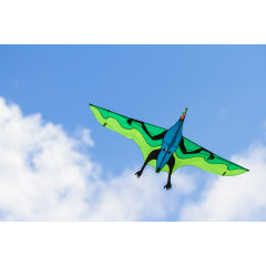 HQ Flying Dinosaur 3D Einleiner Drachen