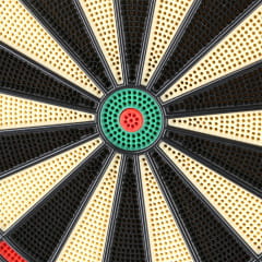 Nils Fun Dartscheibe