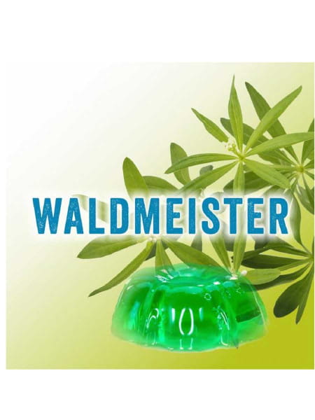 Pure Fresh Getränkekonzentrat Waldmeister 5 Liter Bag in Box
