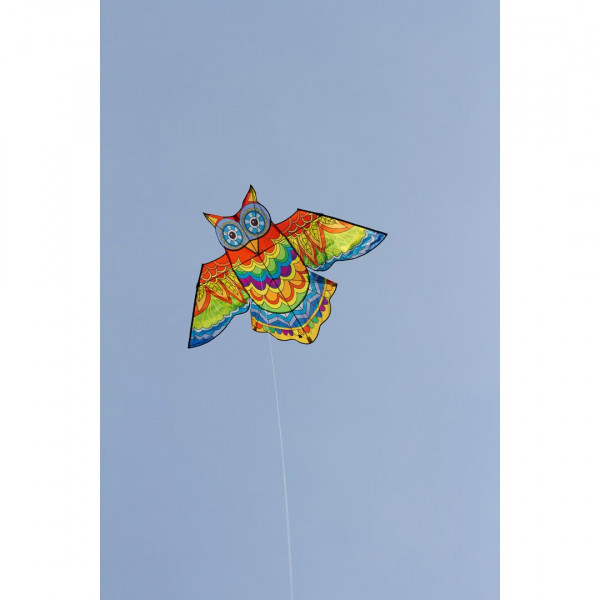 HQ Jazzy Owl Kite Kinderdrachen