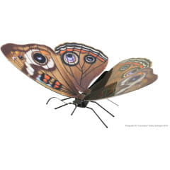 Metal Earth Butterfly Buckeye Modellbau Metall