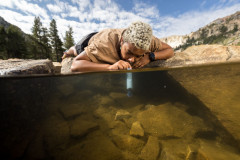 LifeStraw Peak Personal Wasserfilter