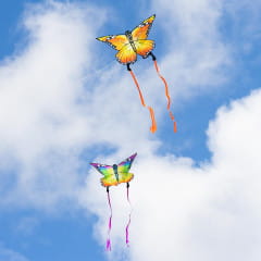 Ecoline Butterfly Kite Monarch 120 cm Kinderdrachen