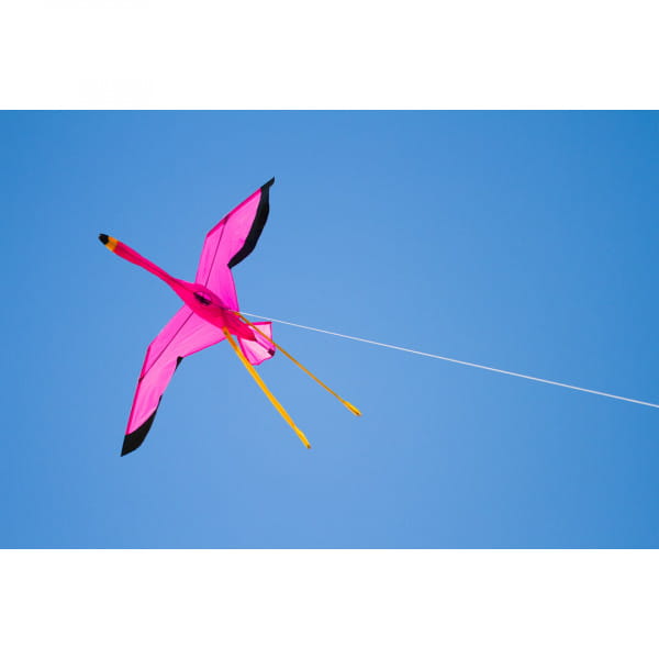 HQ Flamingo 3D Einleiner Drachen