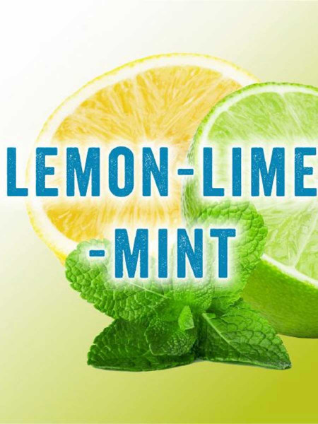 Pure Fresh Getränkekonzentrat Lemon-Lime-Mint 5 Liter Bag in Box