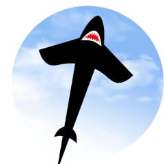 Ecoline Shark Kite 5&#039; Kinderdrachen