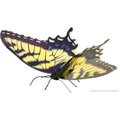 Metal Earth Butterfly Tiger Swallowtail Modellbau Metall