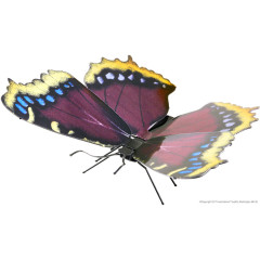 Metal Earth Butterfly Mourning Cloak Modellbau Metall