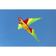 HQ Parrot 3D Einleiner Drachen