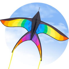 HQ Swallow Kite Rainbow Kinderdrachen