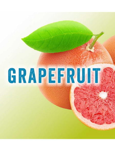 Pure Fresh Getränkekonzentrat Grapefruit 5 Liter Bag in Box