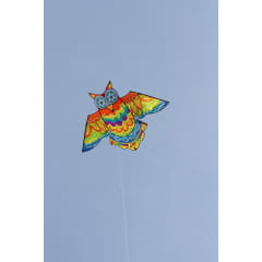 HQ Jazzy Owl Kite Kinderdrachen