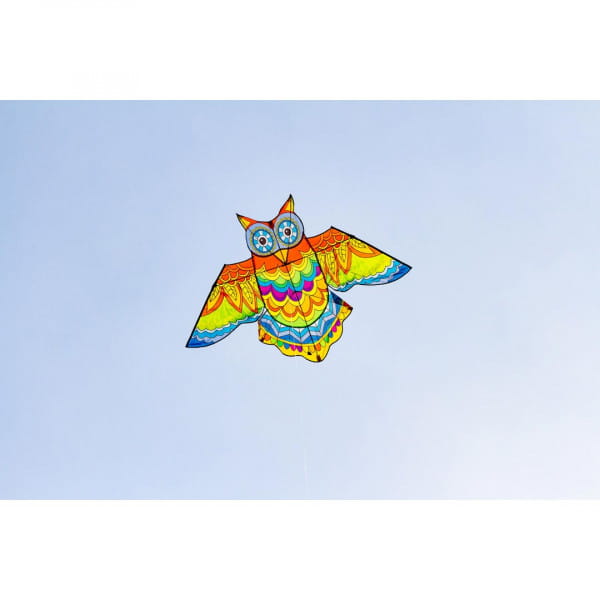 HQ Jazzy Owl Kite Kinderdrachen