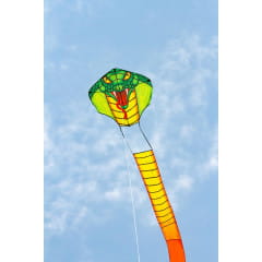 Ecoline Emerald Cobra Kite Kinderdrachen