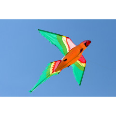 HQ Parrot 3D Einleiner Drachen