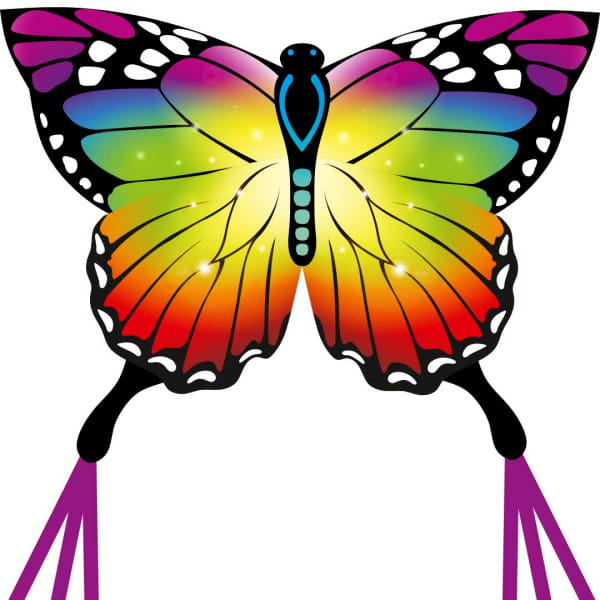 Ecoline Butterfly Kite Rainbow 120 cm Kinderdrachen